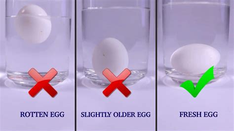 testing the hardness of an egg|how to check if eggs are good.